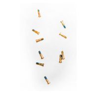 Винты для Apple iPhone 6 внешние (10 шт.) <золотой> ― OnlineBazar.su