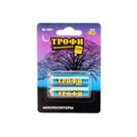 Батарейка AA Трофи LR6 (упаковка 2 шт.) ― OnlineBazar.su