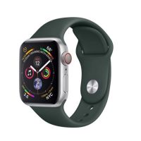 Ремешки для Apple Watch Series 5 (40 mm) Sport Band силиконовый (размер L) <кипрский зеленый> ― OnlineBazar.su